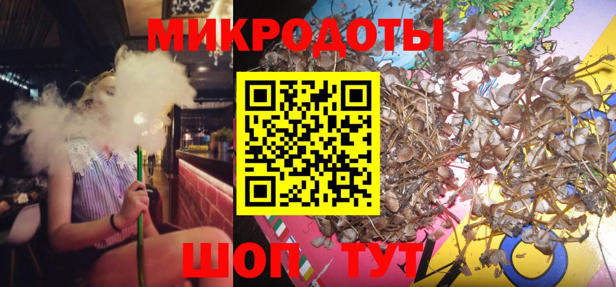 Электрогорск  Галлюциногенные грибы Psilocybe  где купить наркотик  Вход с VPN 
