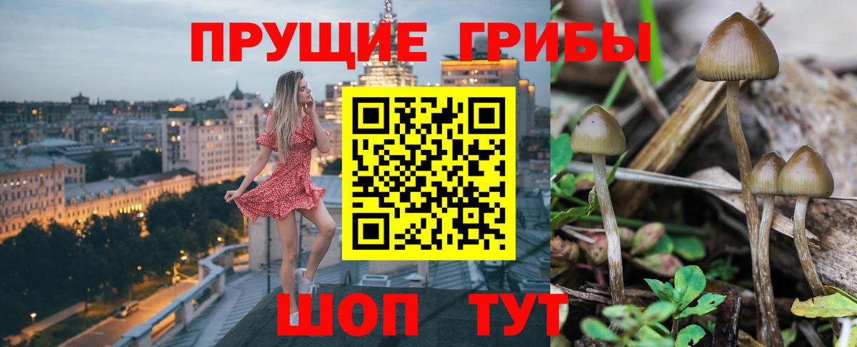 Галлюциногенные грибы мухоморы Электрогорск